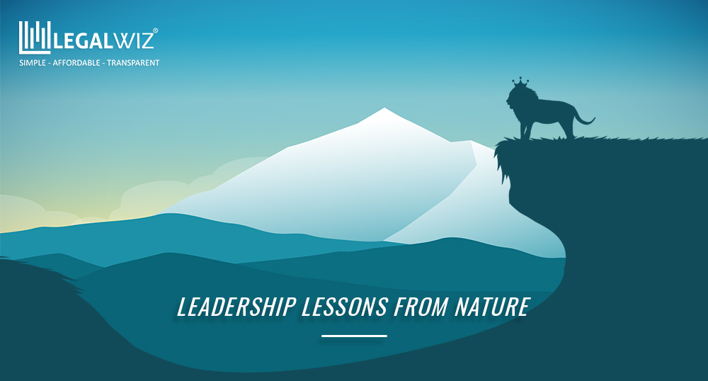 Leadership lessons