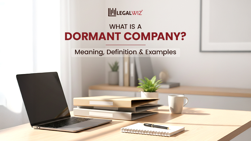 What Is a Dormant Company? Meaning, Definition & Examples