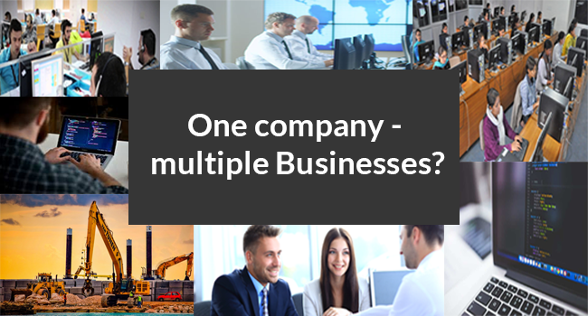 One Company Multiple Business